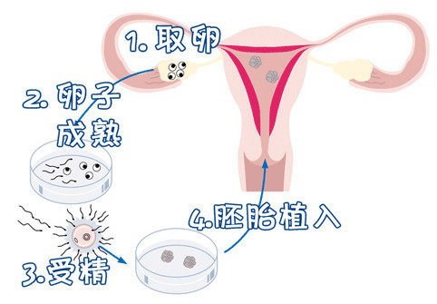 实验室设备